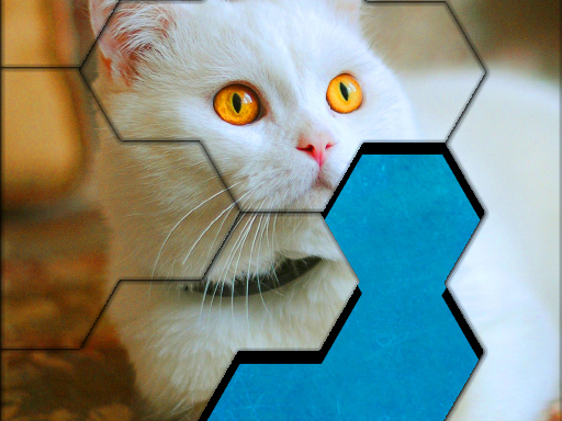 Blocks Hexa Jigsaw Puzzle™