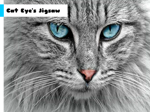 Cat Eye’s Jigsaw