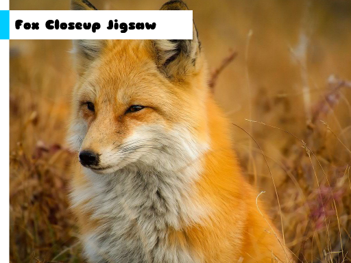 Fox Closeup Jigsaw